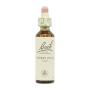 Flor nº 6 Cherry Plum 20ml Bach