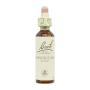 Flor nº 7 Chestnut Bud 20ml Bach