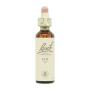 Flor nº 11 Elm 20ml Bach