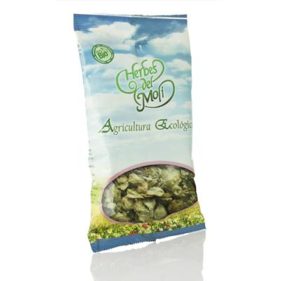 Lupulo flor bio 10g Herbes del Moli