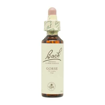 Flor nº 13 Gorse 20ml Bach