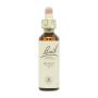 Flor nº 15 Holly 20ml Bach