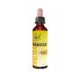 Rescue remedy 20ml Bach