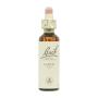 Flor nº 19 Larch 20ml Bach