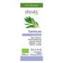 Aceite esencial de ravintsara bio 10ml Physalis