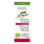 Aceite esencial de eucalipto citronado bio 10ml Physalis