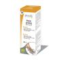 Ginseng (panax ginseng) extracto hidroalcoholico bio 100ml Physalis