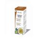 Diente de leon (taraxacum officinale) extracto hidroalcoholico bio 100ml Physalis