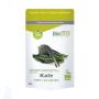 Kale polvo superfoods bio 120g Biotona