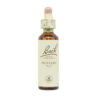 Flor nº 21 Mustard 20ml Bach