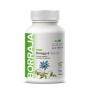 Borraja Omega 6 710mg 110 perlas Sotya