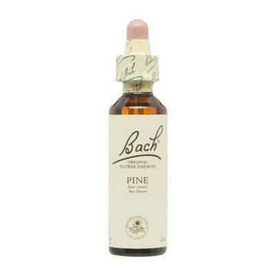 Flor nº 24 Pine 20ml Bach