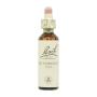 Flor nº 25 Red Chestnut 20ml Bach