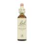 Flor nº 26 Rock Rose 20ml Bach