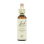 Flor nº 30 Sweet Chestnut 20ml Bach