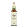 Flor nº 31 Vervain 20ml Bach