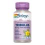 Tribulus 450mg 60vcaps Solaray