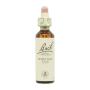 Flor nº 36 Wild Oat 20ml Bach