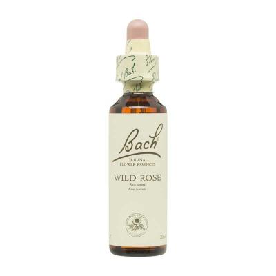 Flor nº 37 Wild Rose 20ml Bach