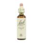 Flor nº 38 Willow 20ml Bach