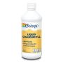 Liquid Chlorophyll-Clorofila Liquida 480ml Solaray