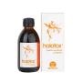 Holotox jarabe 250ml Equisalud