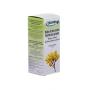 Tintura Reina de los prados-Spiraea ulmaria Bio 50ml Biover