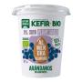 Kefir Almendra Arandanos Bio 400g NaturGreen