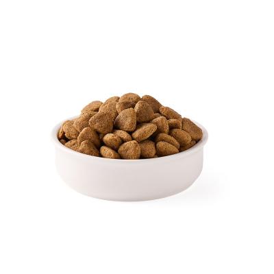 Pienso vegano para perros adultos s/gluten bio 2kg Yarrah