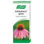 Echinaforce gotas tintura 100 ml A.Vogel