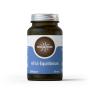 Hifas Equilibrium 60 capsulas Hifas da Terra