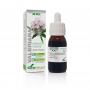 Extracto de Valeriana S.XXI 50ml Soria Natural