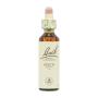 Flor nº 3 Beech 20ml Bach