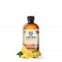 Kombucha Ginger & Lemon Bio 400ml Captain Kombucha