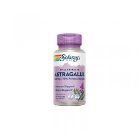 Astragalus extracto de raiz 200mg 30vcaps Solaray