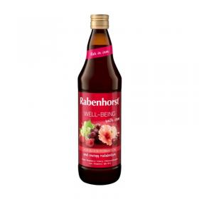 Zumo Well-being con Hierro 750ml Rabenhorst
