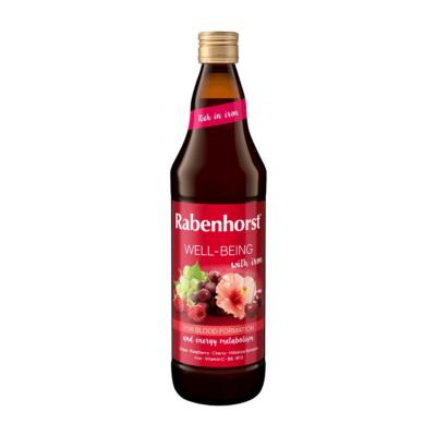 Zumo Well-being con Hierro 750ml Rabenhorst