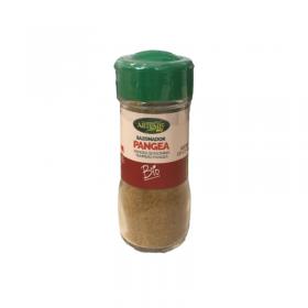 Sazonador Pangea especias Bio 60g Artemis