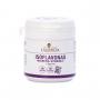 Isoflavonas con Magnesio + Vit.E 30 capsulas Ana Maria Lajusticia