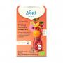 Yogi Frio Fresa y Naranja Bio 15 filtros